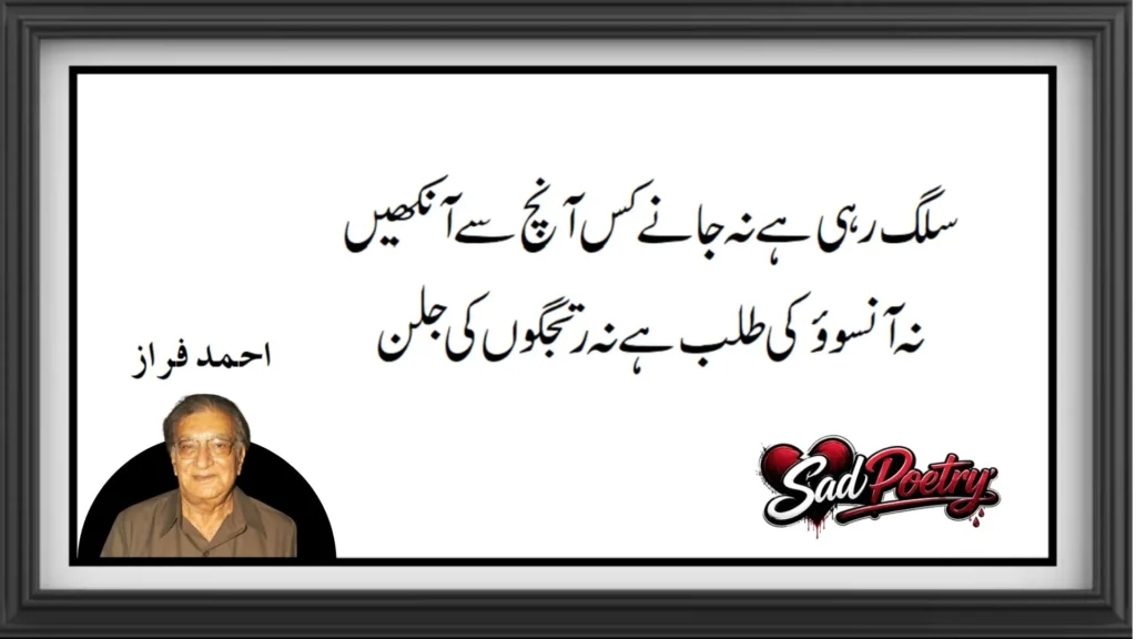 Ahmad Faraz Best Poetry Timeless Words of Love and Emotion (10)