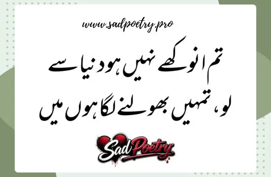 Heartbreak & Pain in Sad Poetry in Urdu 2 Lines