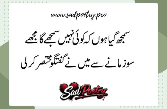 Heartbreak & Pain in Sad Poetry in Urdu 2 Lines