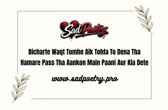 Pain with the Best Sad Poetry in Roman Urdu