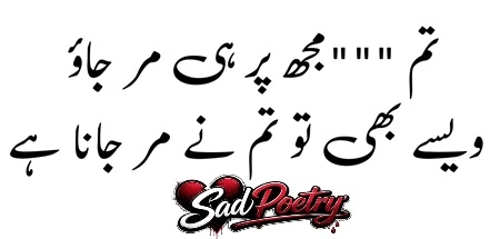 2 Line Shayari With Sad Poetry in Urdu Copy & Paste