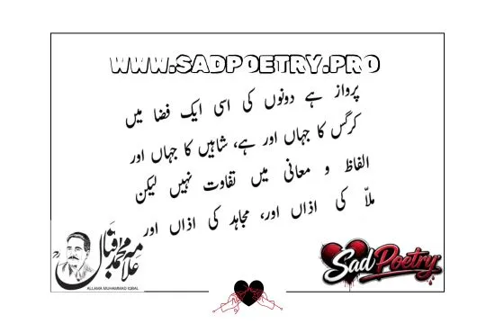 Allama Iqbal Best Poetry in Urdu For Youth Nation