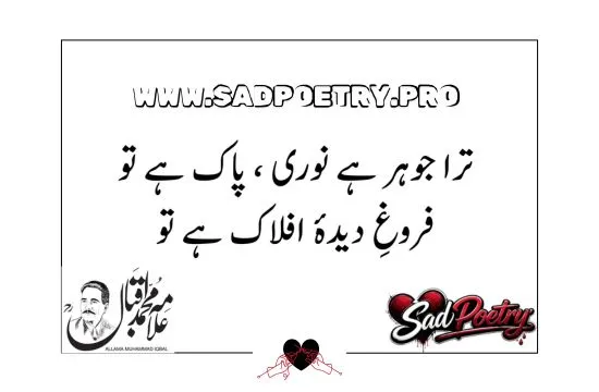 Allama Iqbal Best Poetry in Urdu For Youth Nation