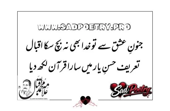 Allama Iqbal Best Poetry in Urdu For Youth Nation