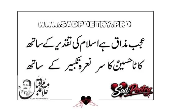 Allama Iqbal Best Poetry in Urdu For Youth Nation