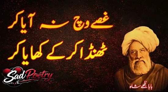 Punjabi Sad Poetry Text 2 Lines With Images Collection 2026
