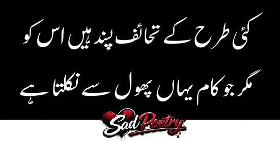 Valentine Day Sad Poetry in Urdu Text For Your LOVER February 2027