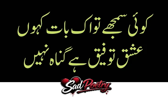 Valentine Day Sad Poetry in Urdu Text For Your LOVER February 2027