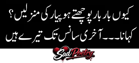 Valentine Day Sad Poetry in Urdu Text For Your LOVER February 2027